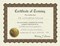 Great Papers! Parchment Stock Fill-In Certificates with Metallic Border, Training, 8.5" x 11", Not Printer Compatible, 6 Count